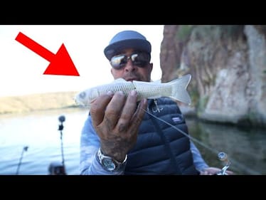 Showing This Famous Singer The Power Of Big Glides Baits! (Surpirse Catch!)