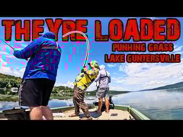 Catching BIG BASS Punching Mats of Grass! Ft. Alex Rudd & Caleb Bell!