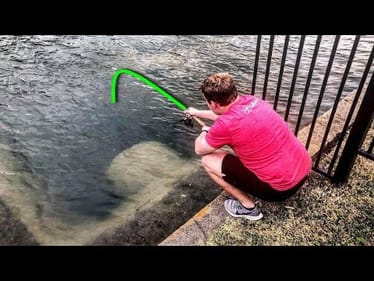 IT WENT IN THE TUNNEL! (UNEXPECTED CATCH)