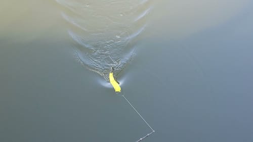 Swimbait Review: Pat's Phat