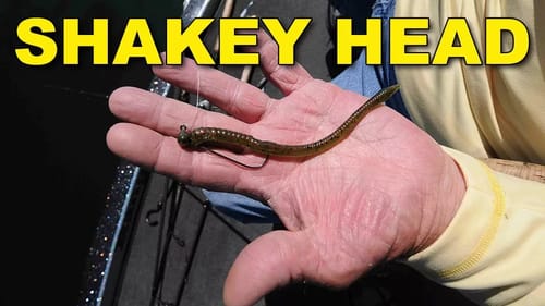 Shakey Head Tips For Smallmouth Bass | Bass Fishing