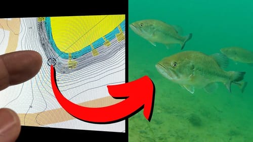 Are You Bass Fishing Points the Right Way? | Factors for Success When Fishing Points
