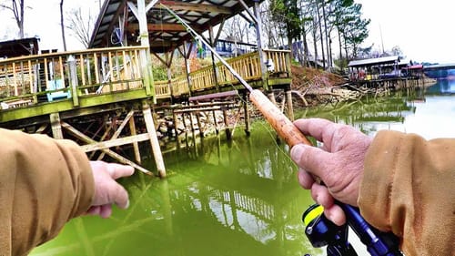 Old Dock Full Of Crappie!!! VERTICAL JIGGING SECRETS