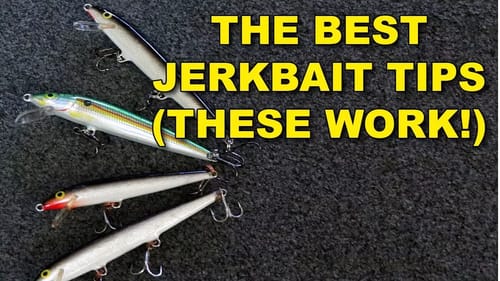 The Best Jerkbait Tips | Bass Fishing