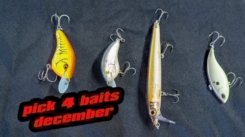 Pick 4 | Baits For December