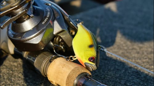 Gear for Ripping Traps for Bass