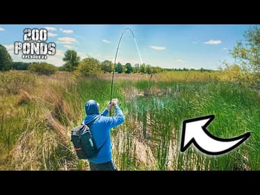 Hooking BIG BASS In A Tiny PUDDLE?! ("200 Ponds" Ft. @sobifishing )