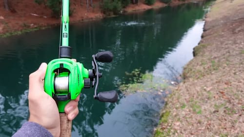 This POND is LOADED w/ FAT Bass