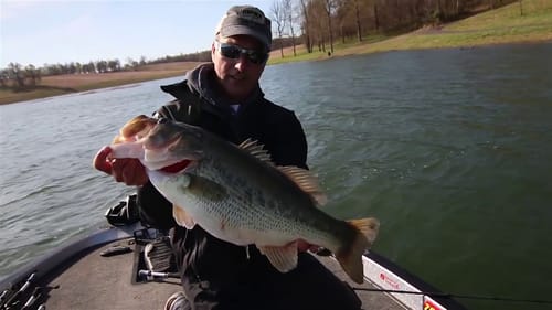 Big 8-pound bass caught on Zoom Swimmer Swimbait