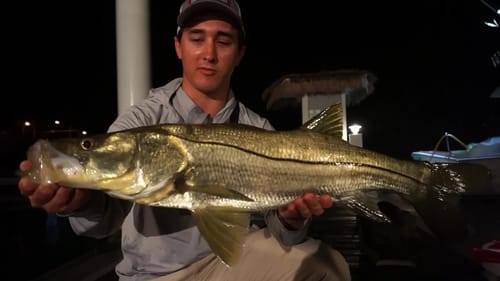 Snook Fishing from Docks