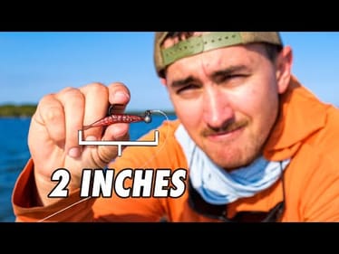 This Lure Is The Easiest Way To Catch Saltwater Fish in Florida