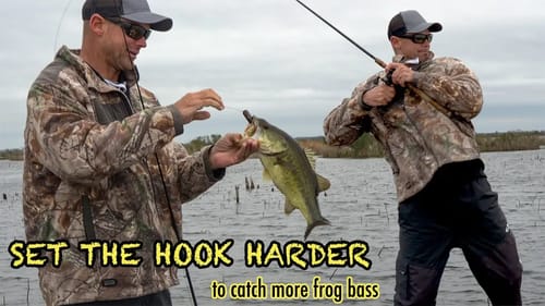 Set the Hook as Hard as You Can when Frog Fishing