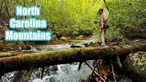 Dry Flies for Wild Mountain Brook Trout