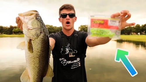 My SECRET Bass Fishing Bait!!! (Ft. Fishing With Norm)