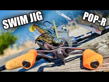Swim Jig vs NEW Pop-R | Early Fall Bass Fishing