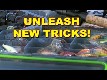 Springtime Cranking Tips for Bass Fishing (These Work!) | Bass Fishing