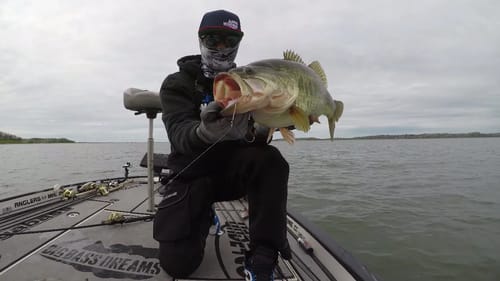 Defiant 247 Trout Swimbait Gets Bit Again and Again!