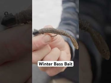 Ultimate Winter Bass Rig! (full breakdown)