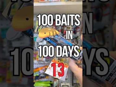 100 Baits In 100 Days - Day 13: Shimano Flash Boost Jerkbait #fishing