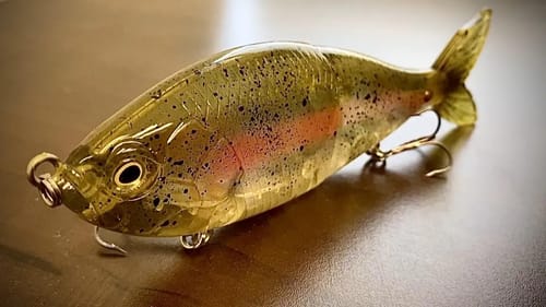 What Did I Spend My Money On? Augusta Fishing Expo