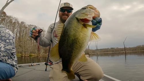 Exploring A New Lake! (Bass Fishing In A Swamp)