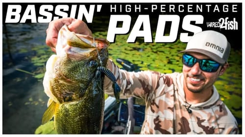 Bass Fishing Lily Pads | Find High-Percentage Spots