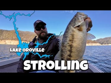 How I Catch Winter Spotted Bass Strolling a Minnow | Lake Oroville