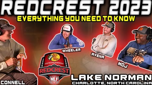 MLF REDCREST: Format Explanation + What To Expect
