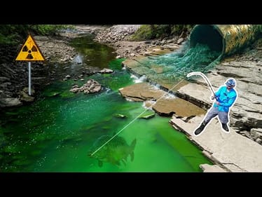 This RADIOACTIVE Creek was Hiding a FRESHWATER WHALE!!! (Massive New PB!)