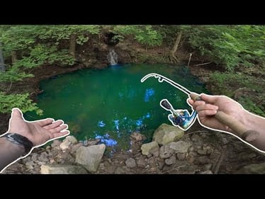 Using Tiny Lures in a PUDDLE!!!
