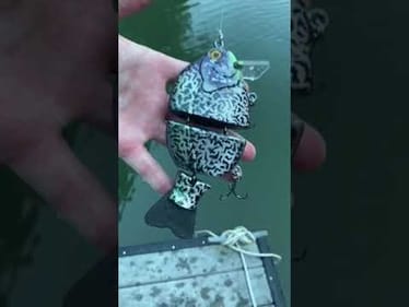 Swimbait Review: UFO Wake Gill