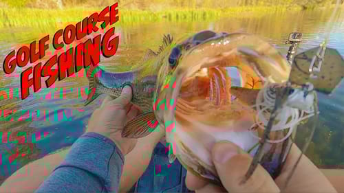 Epic Golf Course Pond Fishing! Big Bass From The Kayak!
