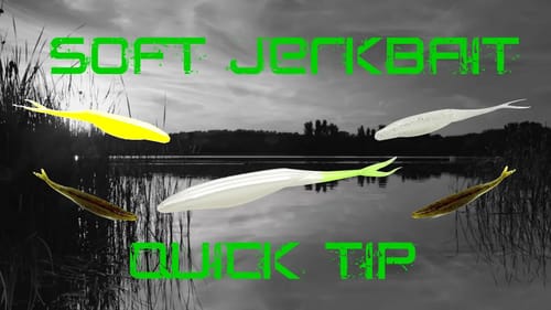 Fishing Flukes for Big Bass