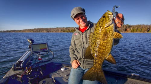 Methods for Jighead Swimbait Success With All Bass Species