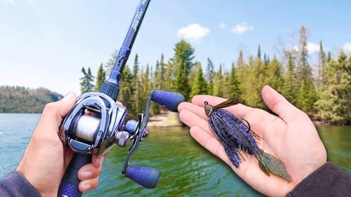 Fishing w/ BIG JIGS for GIANT Bass (LOADED)