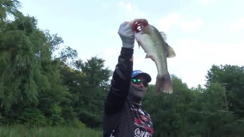 Fantastic Friday Frog catches at Lake Eufaula