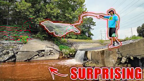 I Had NO IDEA These Fish Live Below this Hidden Waterfall!!