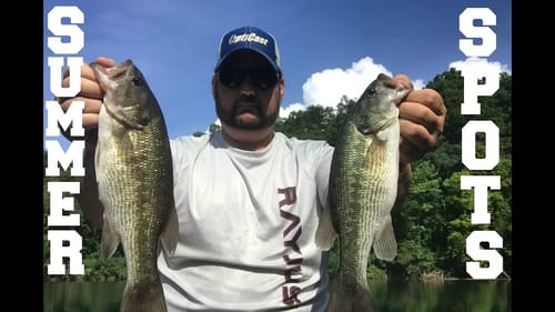 Early Summer Deep Bass