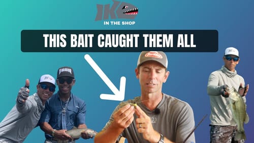THIS BAIT Caught Them ALL!