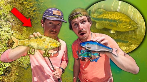 Ultra CLEAR WATER BED FISHING with $1,000 LURES! ( 2v2 CHALLENGE )