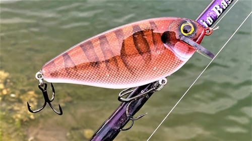 West Coast RedWood CrankBait | One Day Build to Catch