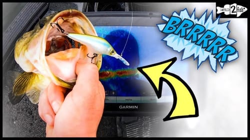 Fall and Winter Jerkbait Bass Fishing: Extreme Refinement Tips