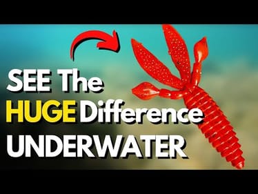 6 Creature Bait Rigging Methods Side-by-Side (Underwater Look)