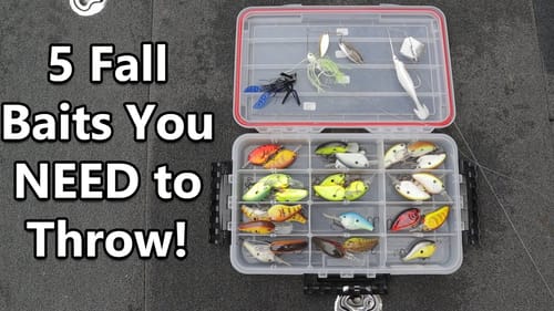 Top 5 Baits for FALL Bass Fishing!