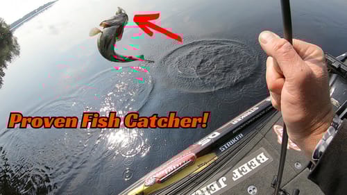 Forgotten Bait? Don’t Sleep On This Juicy Morsel!