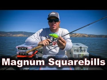 Why You Should Try BIG Squarebill Crankbaits