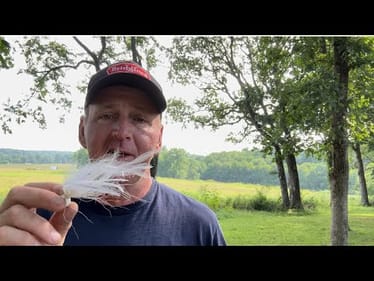 The Best Way To Catch Deep Summer Bass If You Hate Electronic Technology…