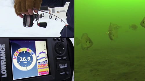 Ice Fishing for Big Bluegills