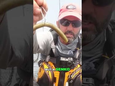 Unlock Bass Fishing Secrets: Wacky Rig Domination!