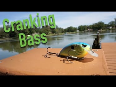 Cranking Wood For Summer Bass -- Quick Tips #3